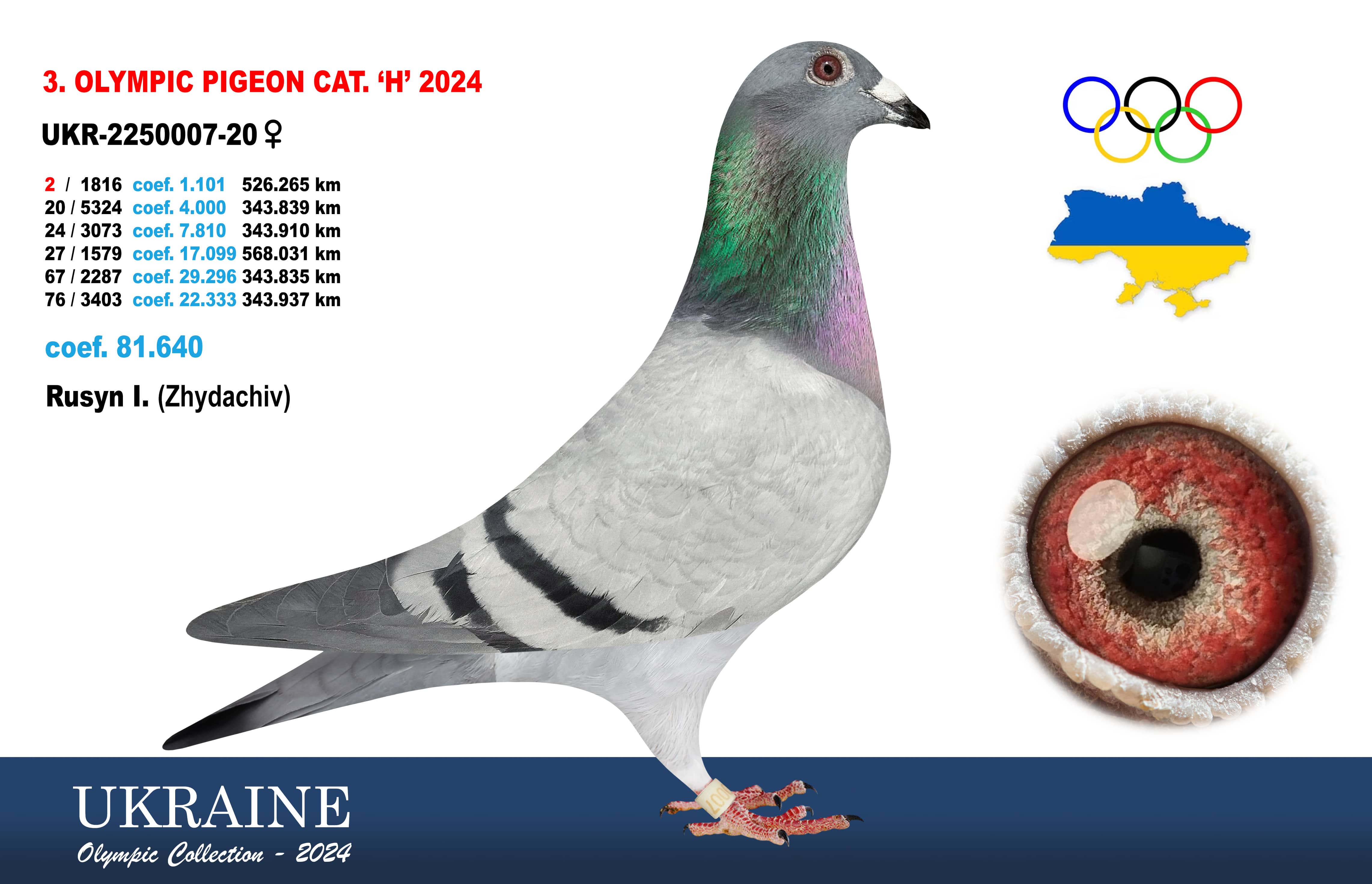 2024-H3